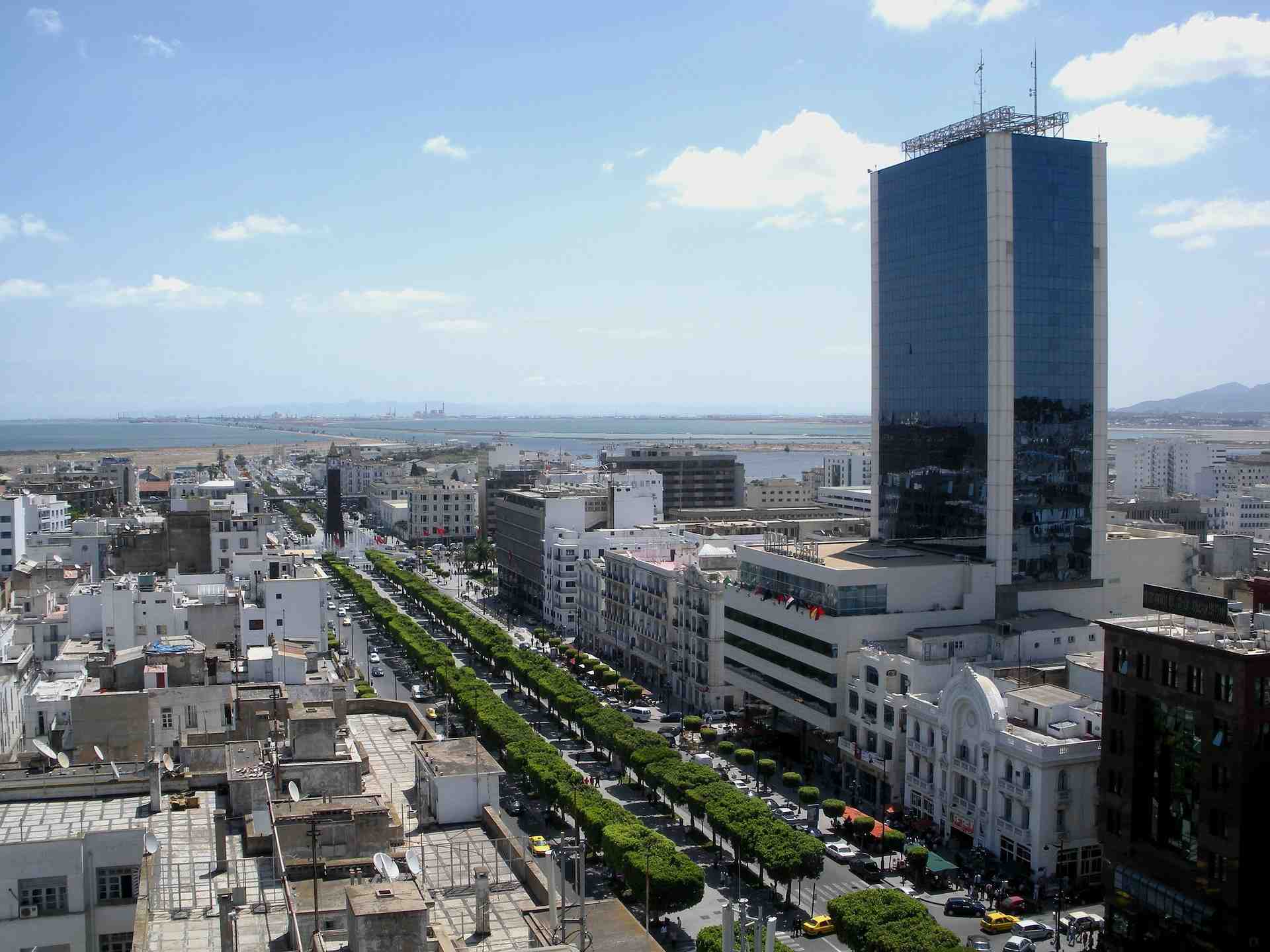 ALTDE_91 millions d'euros pour les smart grids en Tunisie