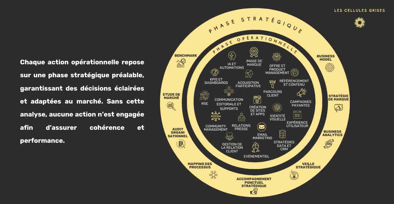 schéma des activités.