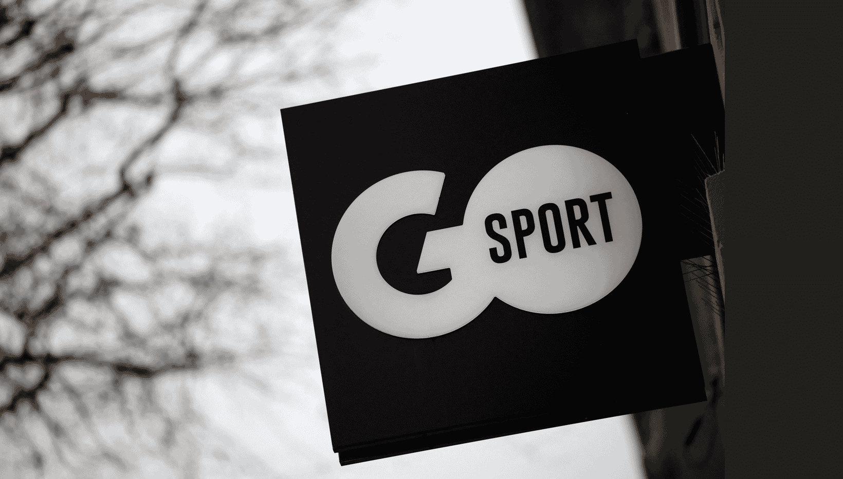 Go Sport
