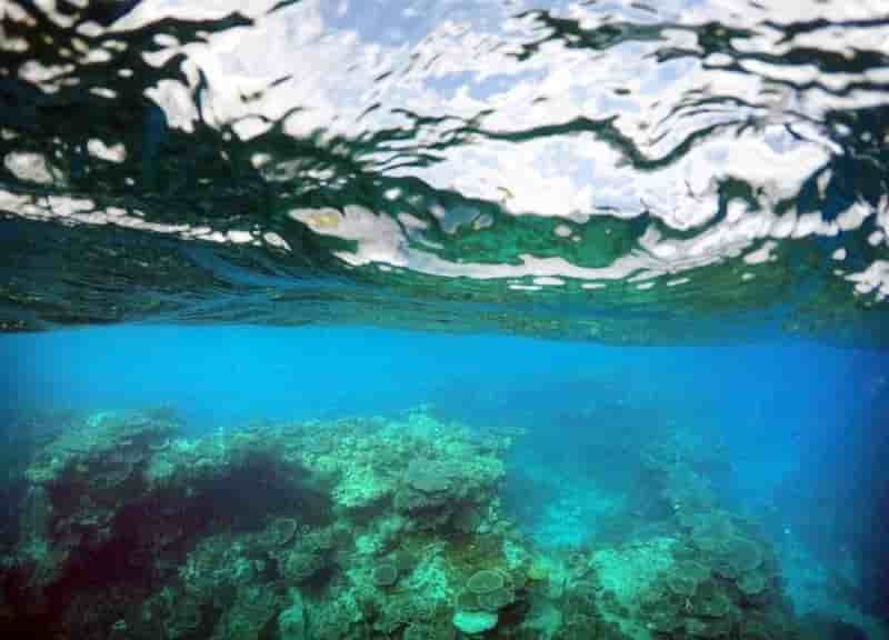 Plus de 100 sites naturels menaces, selon wwf