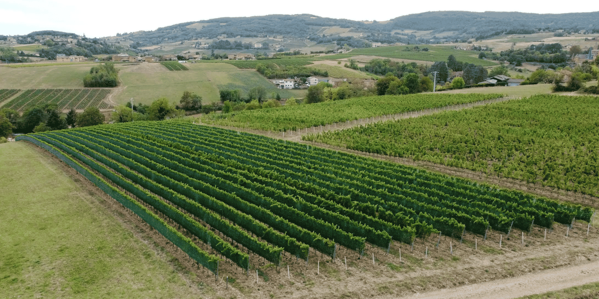 Domaine de l'Eclair Sicarex Beaujolais