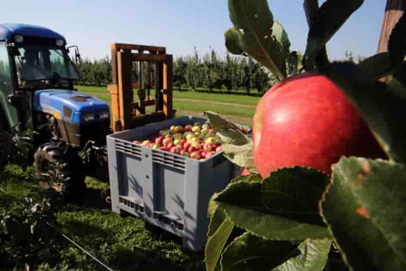 Moscou preparerait une extension de son embargo contre les produits agricoles europeens