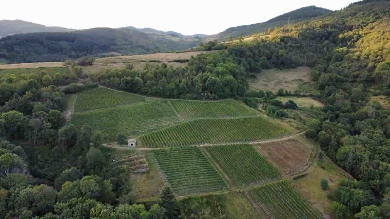 Le domaine du Château de l'Eclair, dans le Beaujolais.