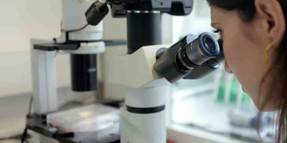 Microscope