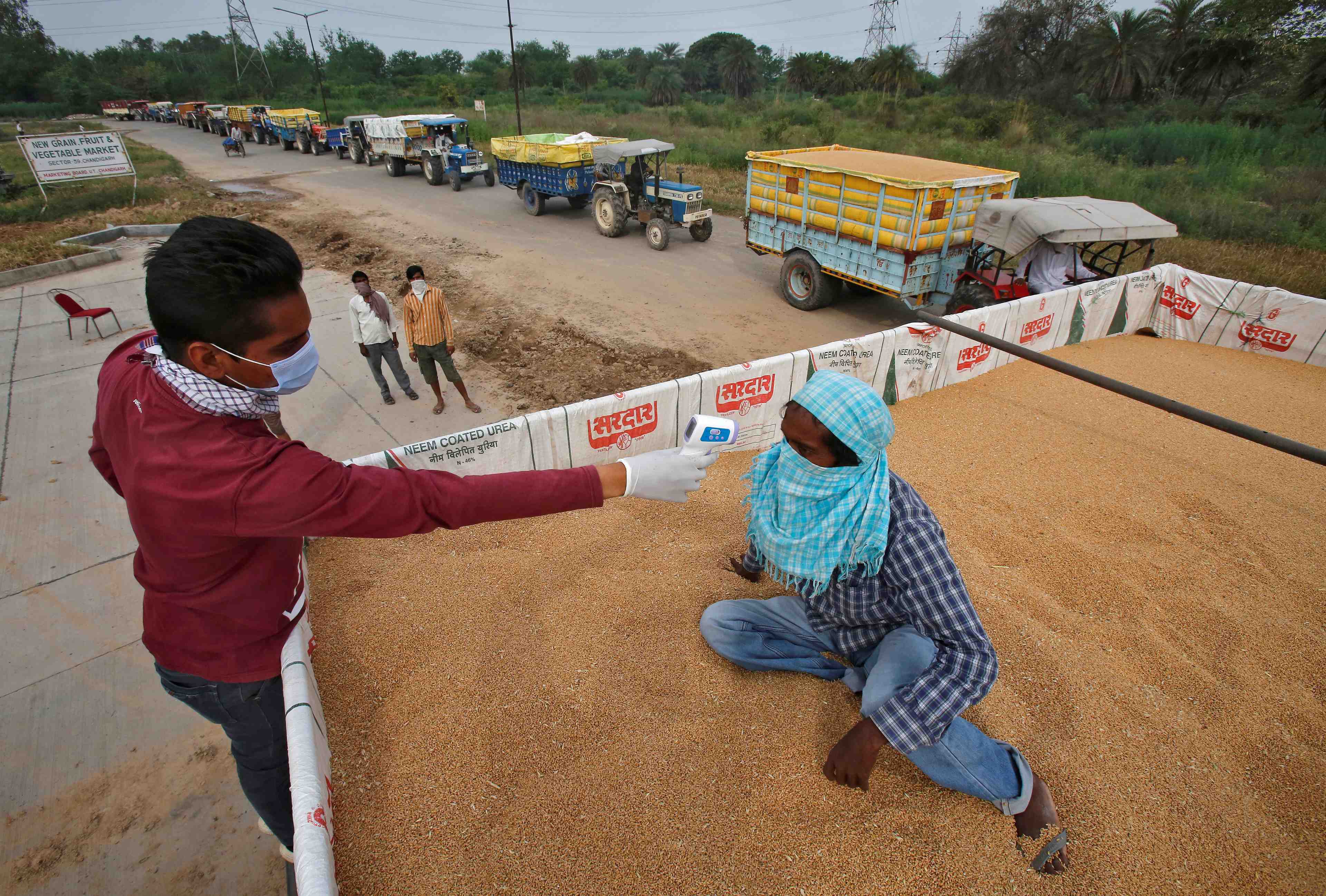 Coronavirus: pres de 70.000 cas de plus signales en inde
