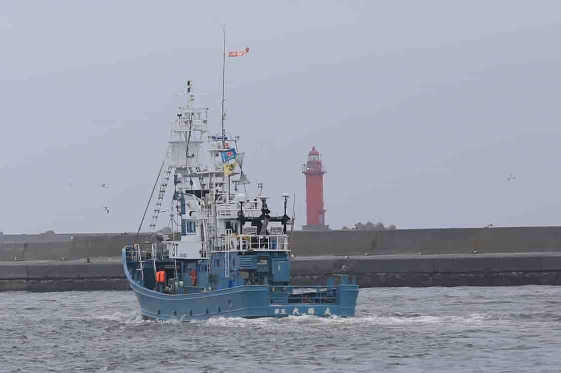 Reprise au japon de la chasse commerciale a la baleine