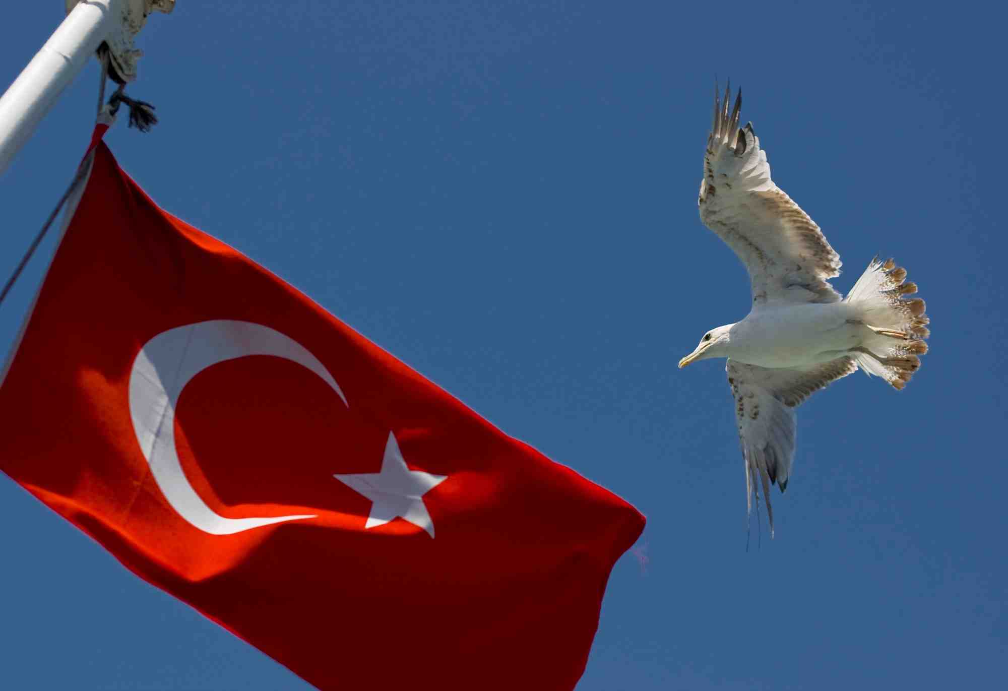 Un oiseau vole a cote du drapeau national sur une jetee a istanbul