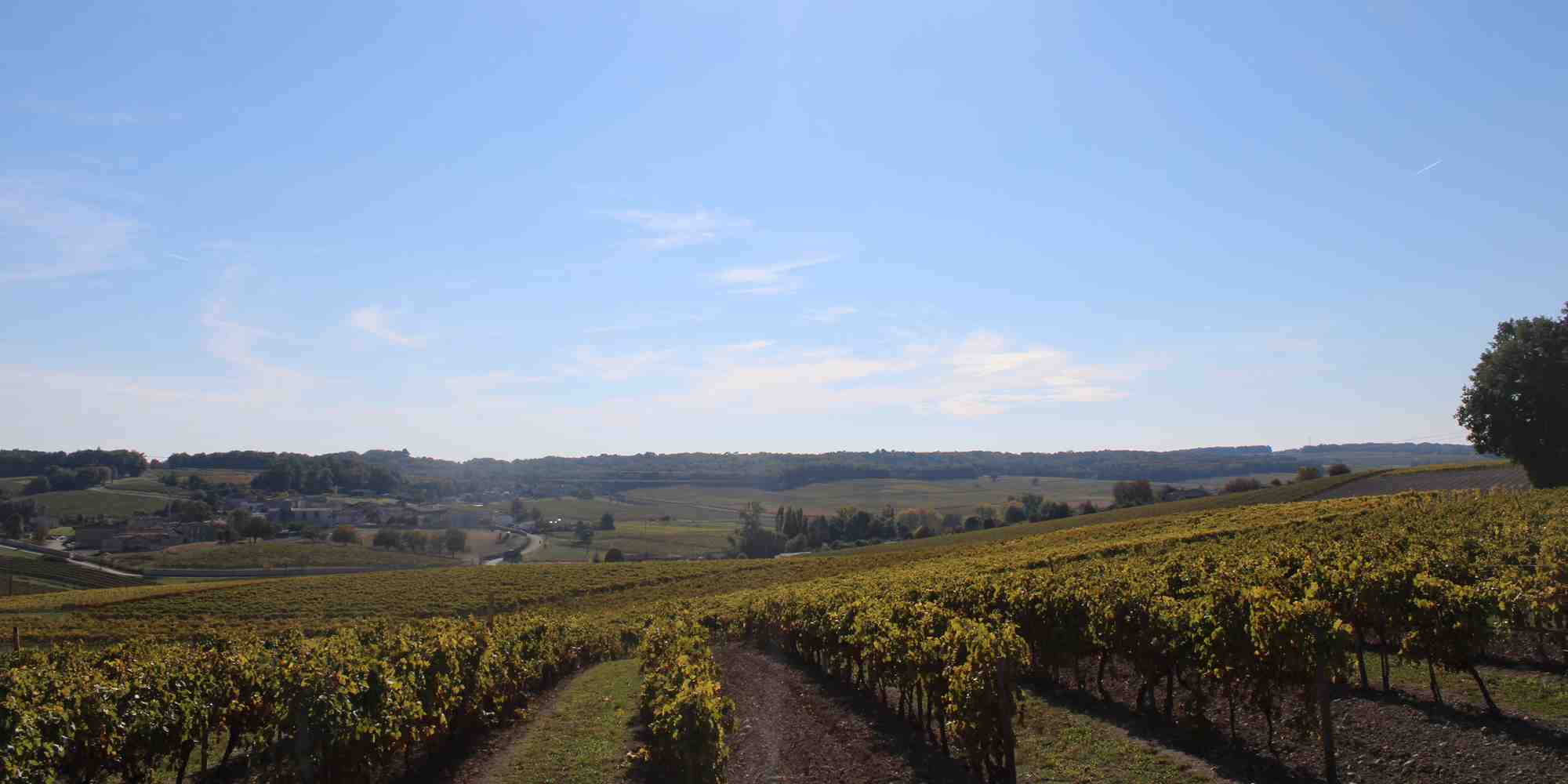 agriculture Charente