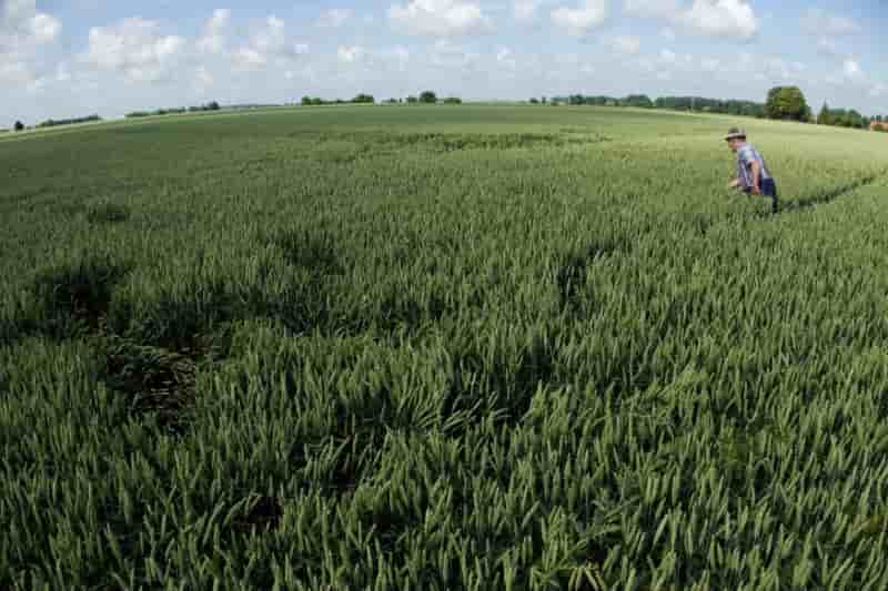 Les retards de la pac payes aux agriculteurs avant septembre