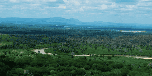 Rufij River Selous Tanzanie