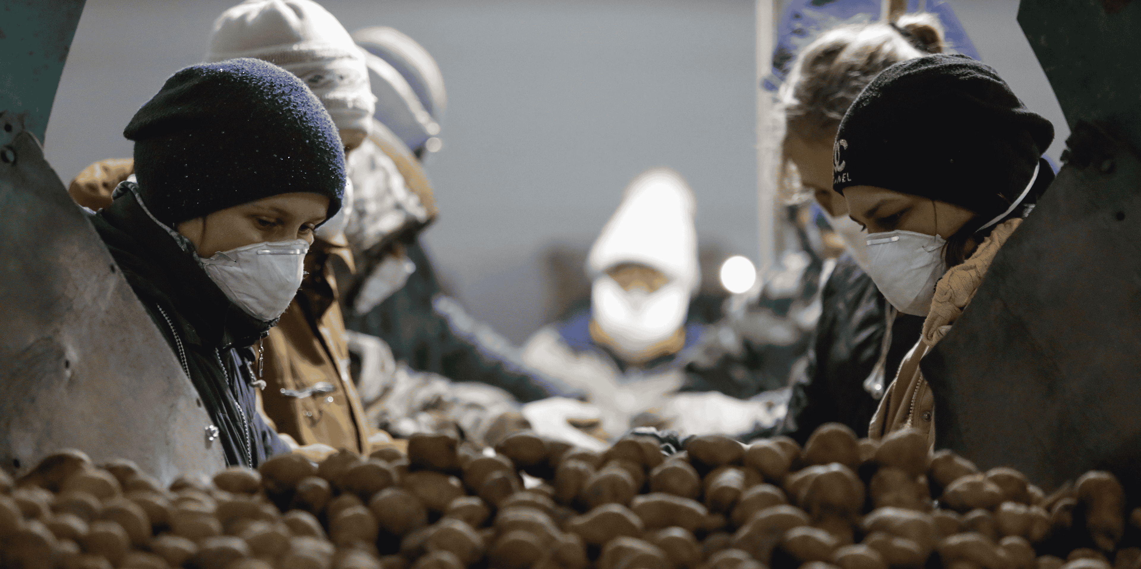 Russie / Coronavirus / Alimentation / Agroalimentaire : des employés, occupés à traiter des pommes de terre, portent des masque