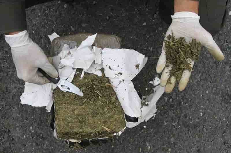 Accord Bogota-Farc sur l'éradication du trafic de drogue