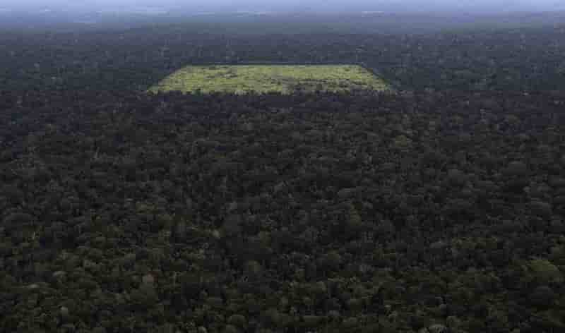 La déforestation de l'Amazonie s'est accélérée en 2013