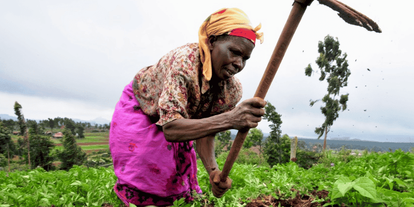 agriculture afrique