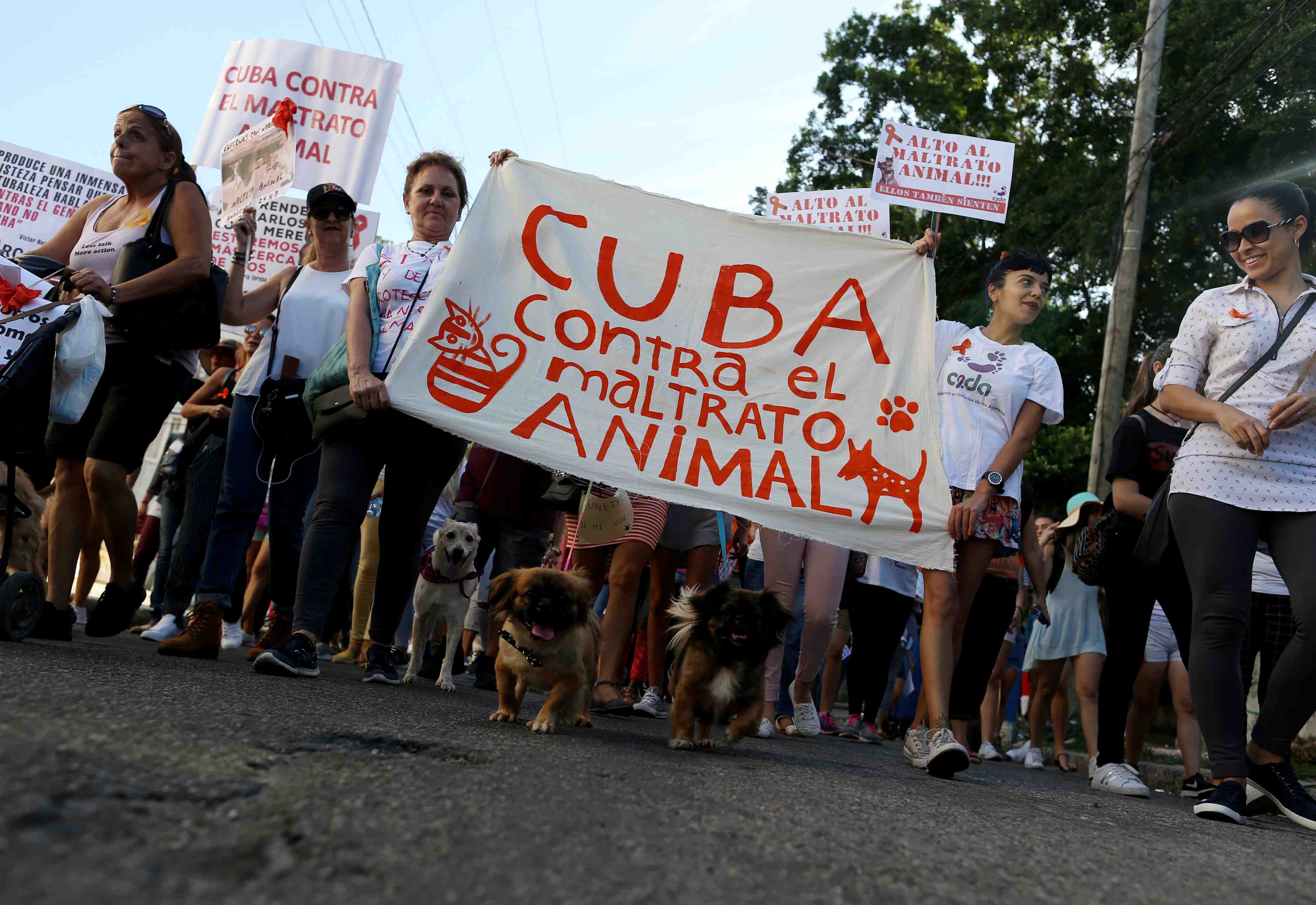 Manifestation independante a cuba, inedit, disent les organisateurs