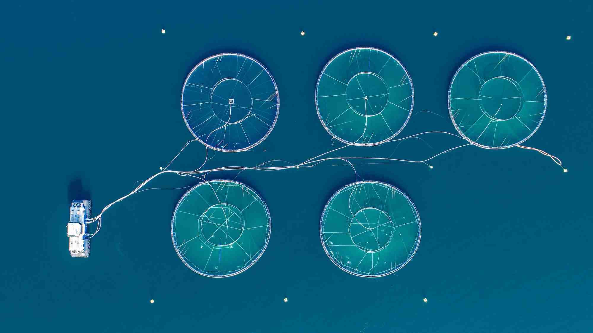 Si l'aquaculture reste prioritaire, la bluetech travaille à la structuration d'une nouvelle business unit consacrée aux rejets industriels.