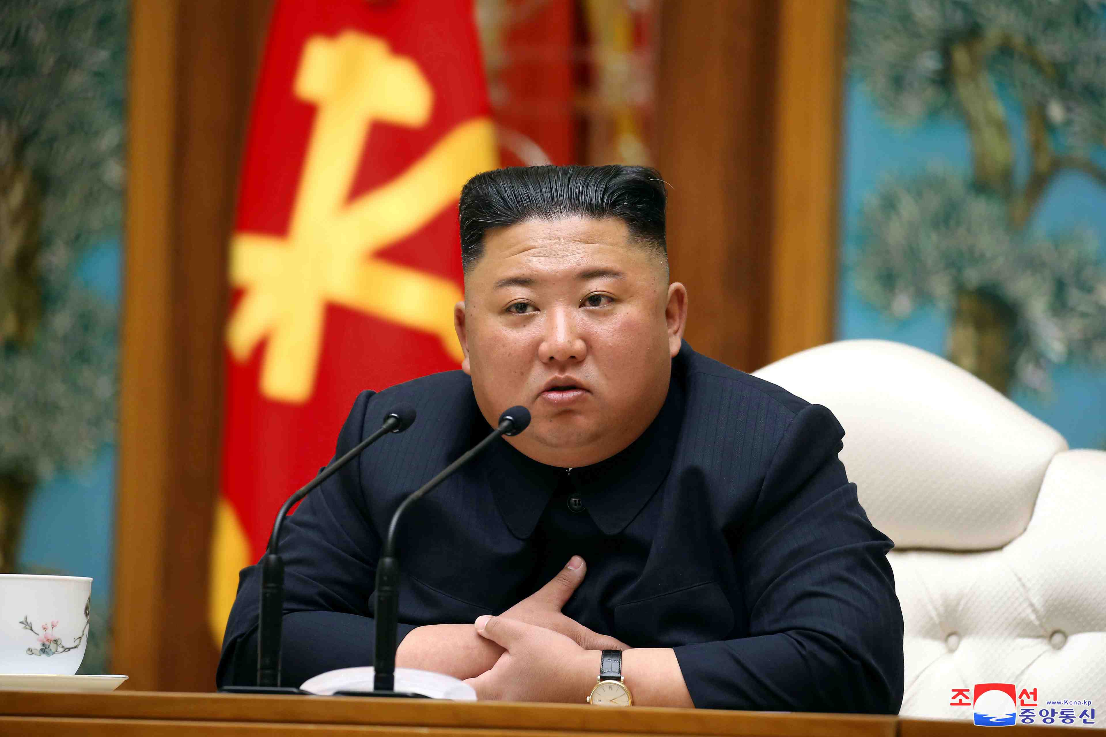 Coree du nord: kim jong-un soigne apres une operation cardiaque
