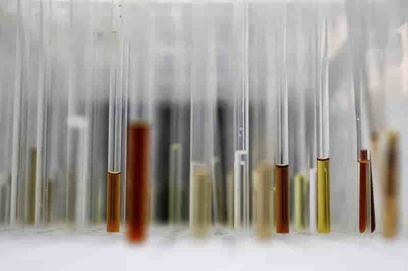 Découverte d'un virus géant congelé depuis 30.000 ans
