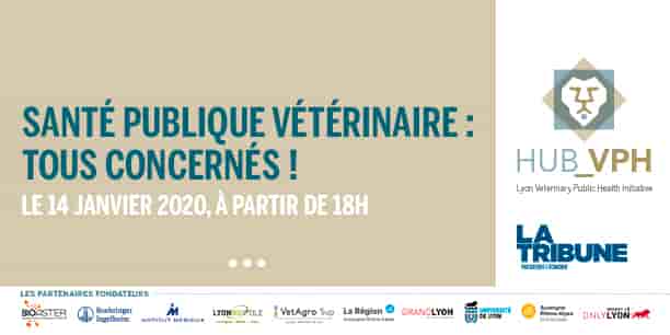 Photo d'illustration
