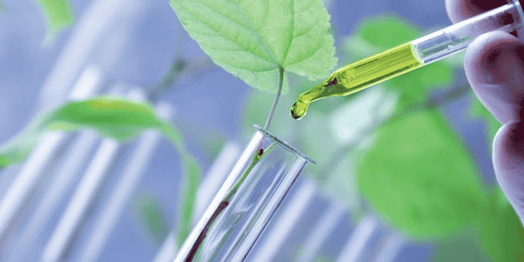 Le Nîmois Phytocontrol rachète All Phyto, spécialisé dans le contrôle qualité des plantes médicinales, épices, aromates et ingrédients d'origine naturelle.