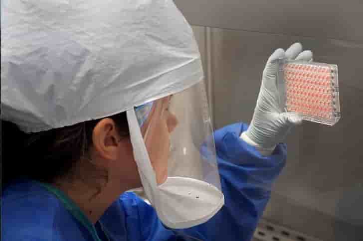 Chine : le virus h7n9 de la grippe aviaire a fait 37 morts en mai