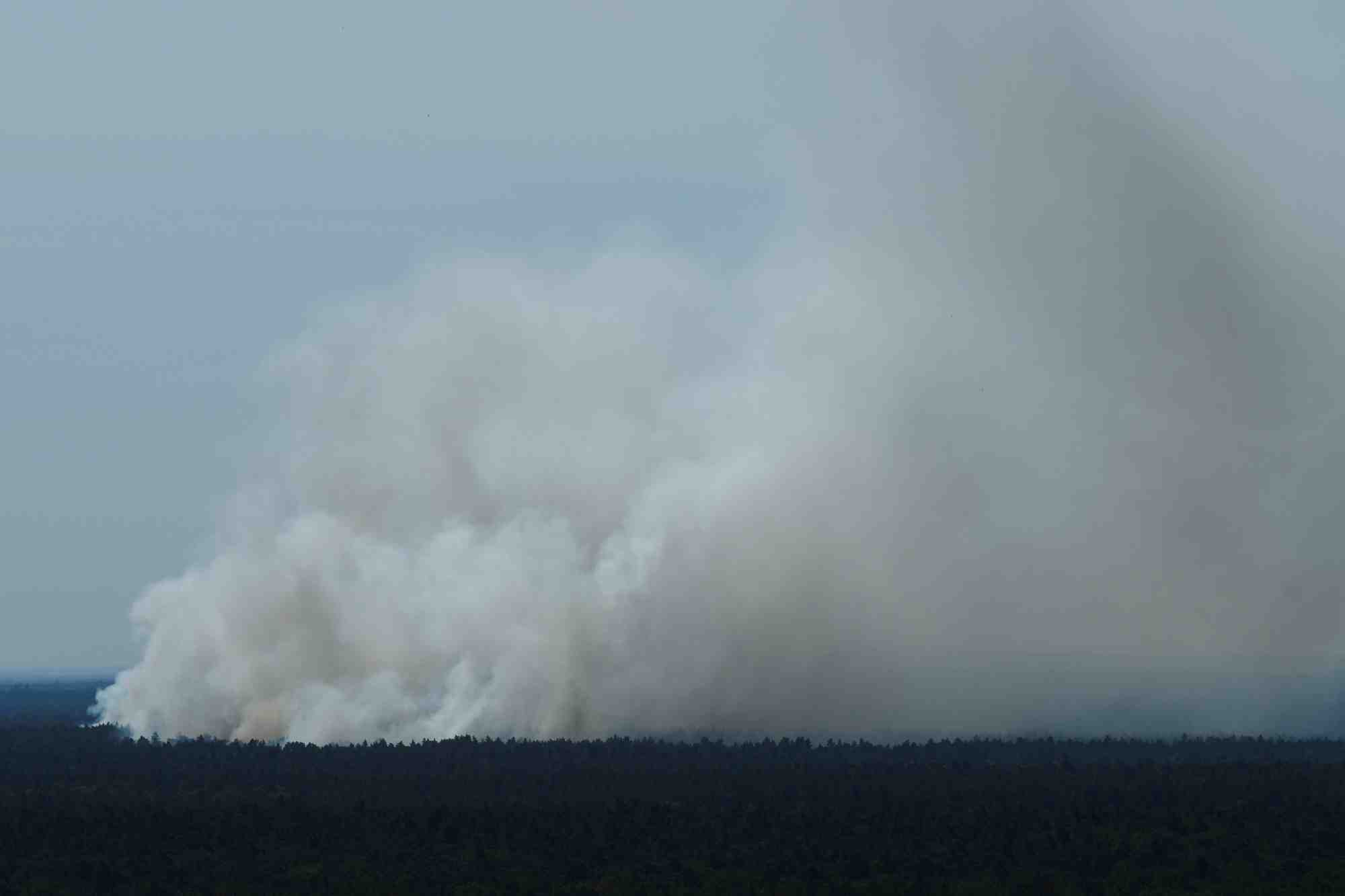 Incendie dans la foret de grunewald, dans l'ouest de berlin