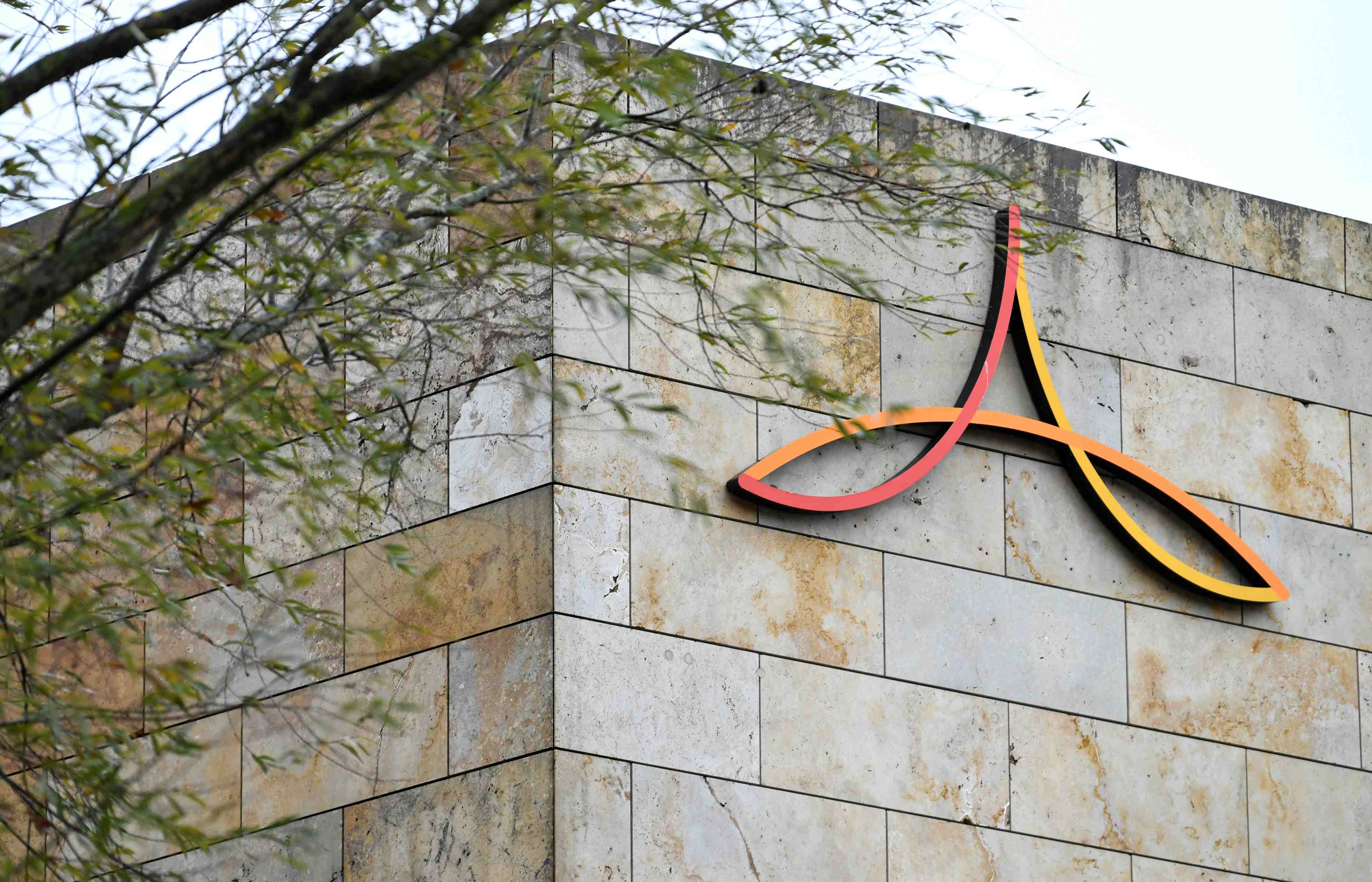 Le fils de carlos ghosn convaincu de l'innocence de son pere