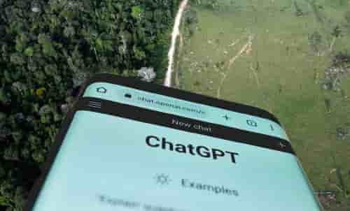 dforest chat gpt