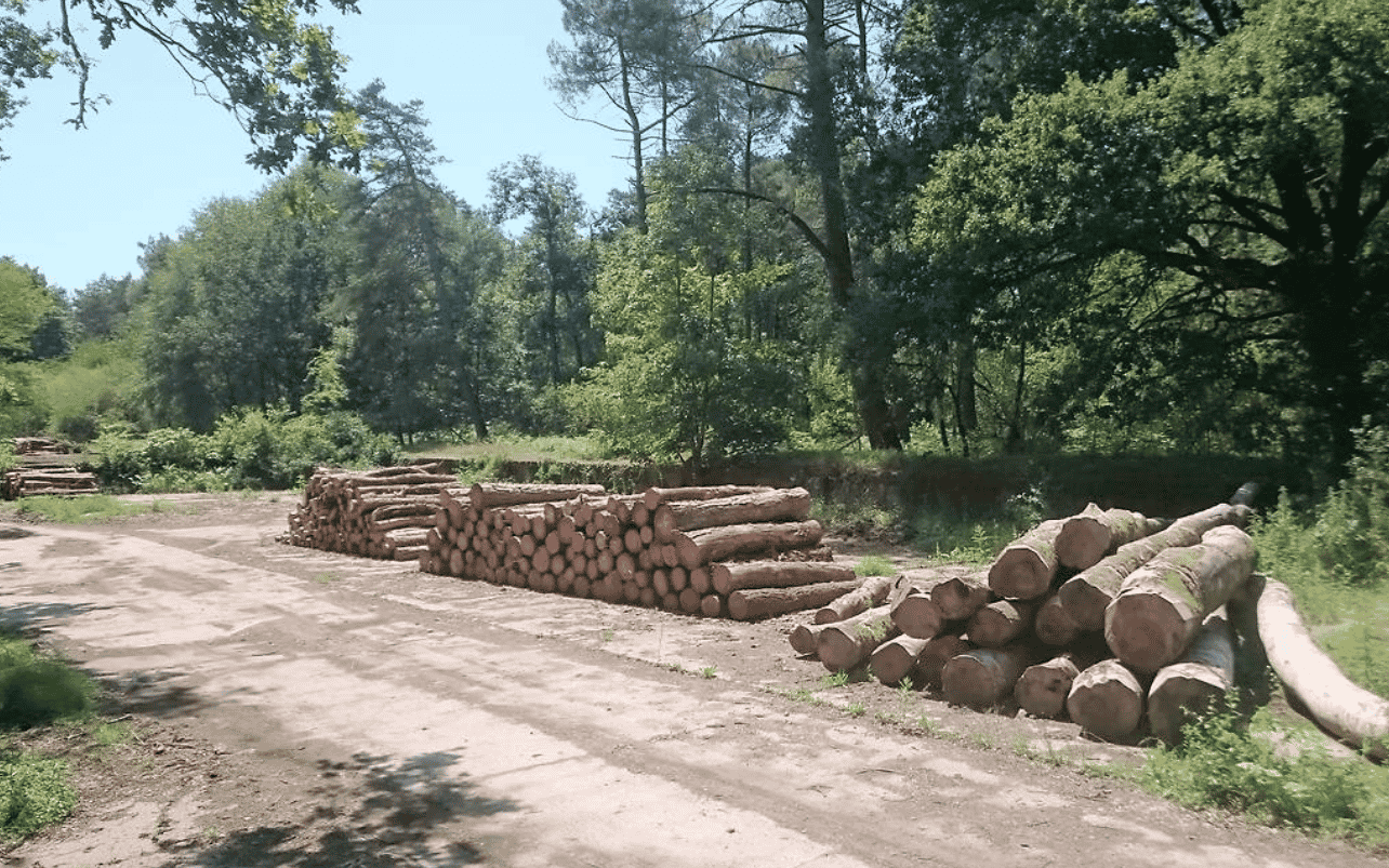 foret du gave pays de la loire