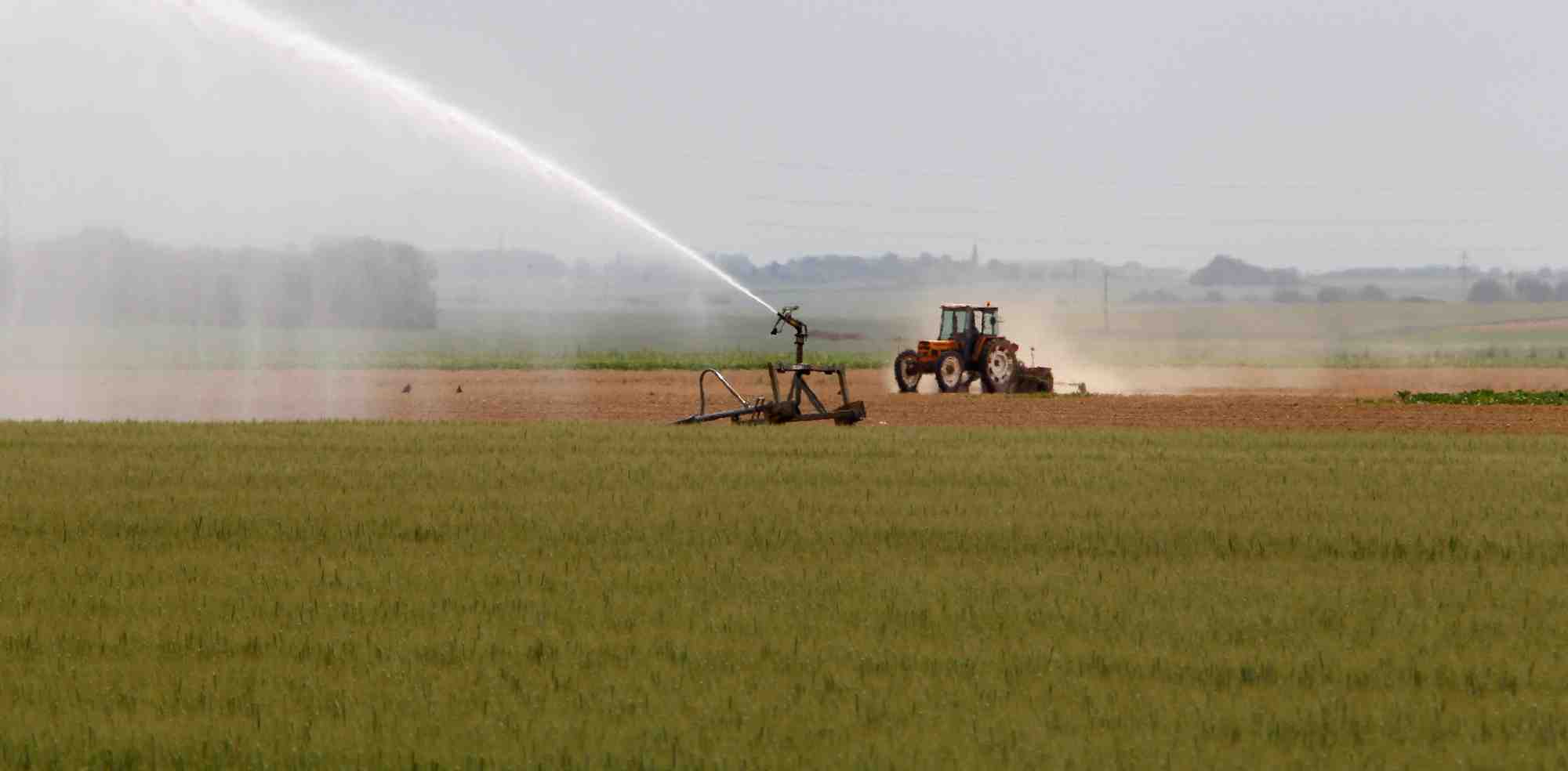 L'irrigation pourrait représenter le tiers des prélèvements d'eau en 2050.