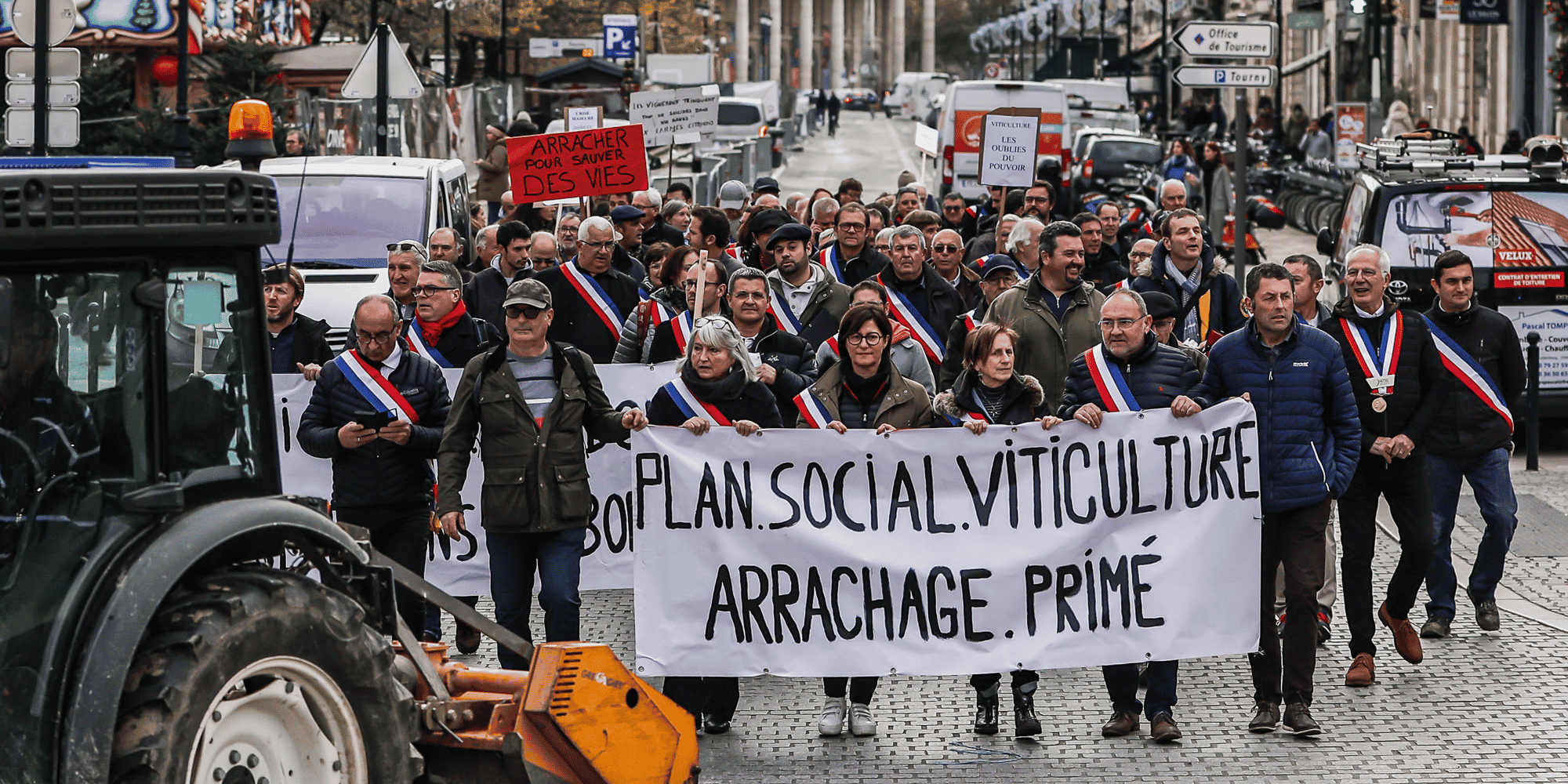 8.000 hectares du vignoble bordelais seront arrachés au premier semestre avec une subvention de 6.000 euros par hectare.