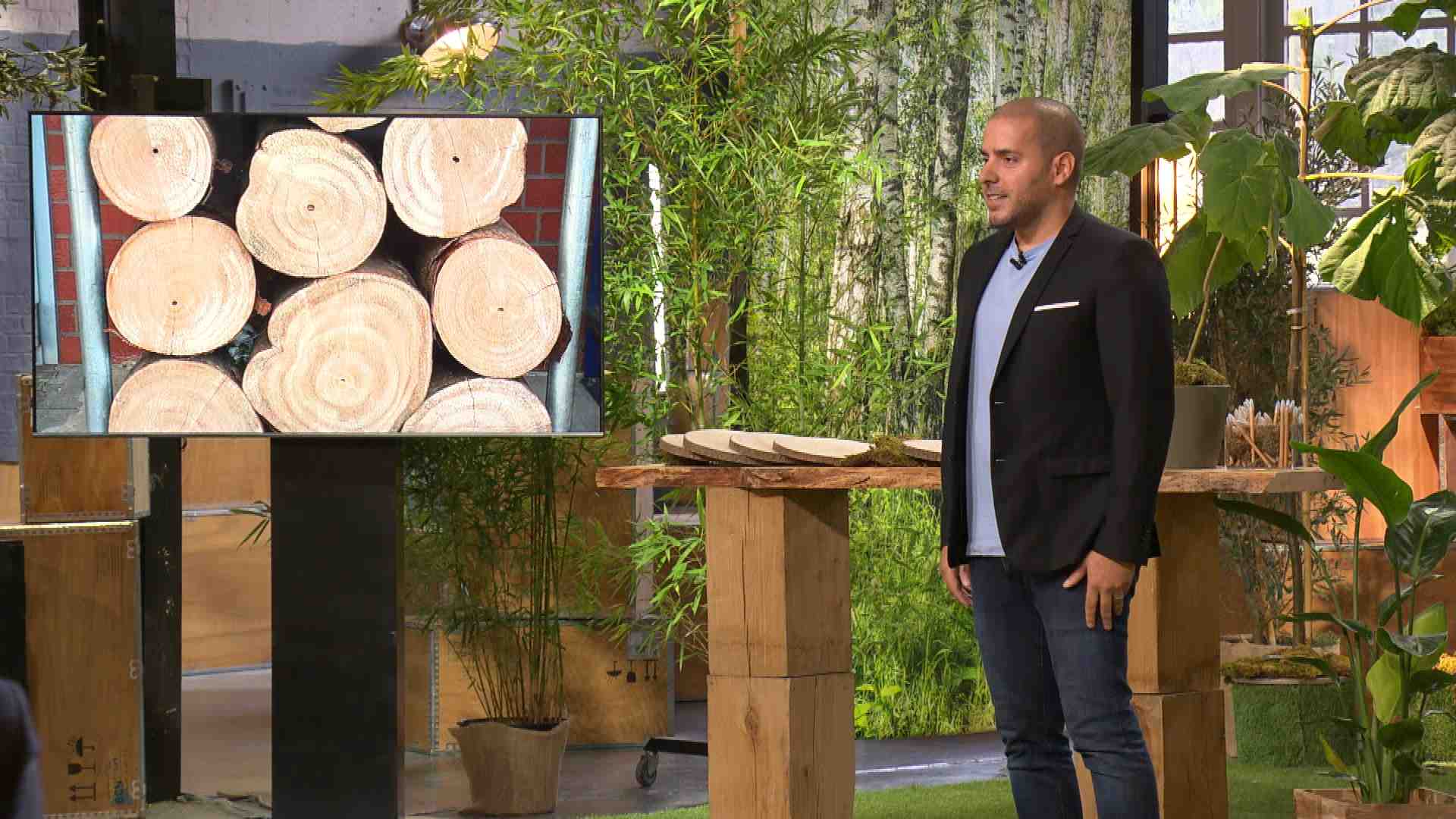 Lors de son passage ce mercredi 7 février dans l'émission « Qui veut être mon associé », Daniel Dos Santos, fondateur de la start-up annécienne Treesition, défendra son modèle qui propose aux agriculteurs de diversifier leurs revenus tout en participant à la transition écologique.
