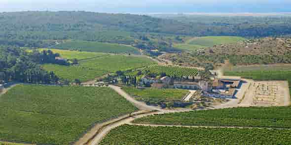 Le Château l'Hospitalet, dans l'Aude, a adapté son offre d'oenotourisme en proposant de nouvelles animations sur le domaine : parcours pédestres fléchés, cours de yoga dans le parc ombragé ou balades en VTT.