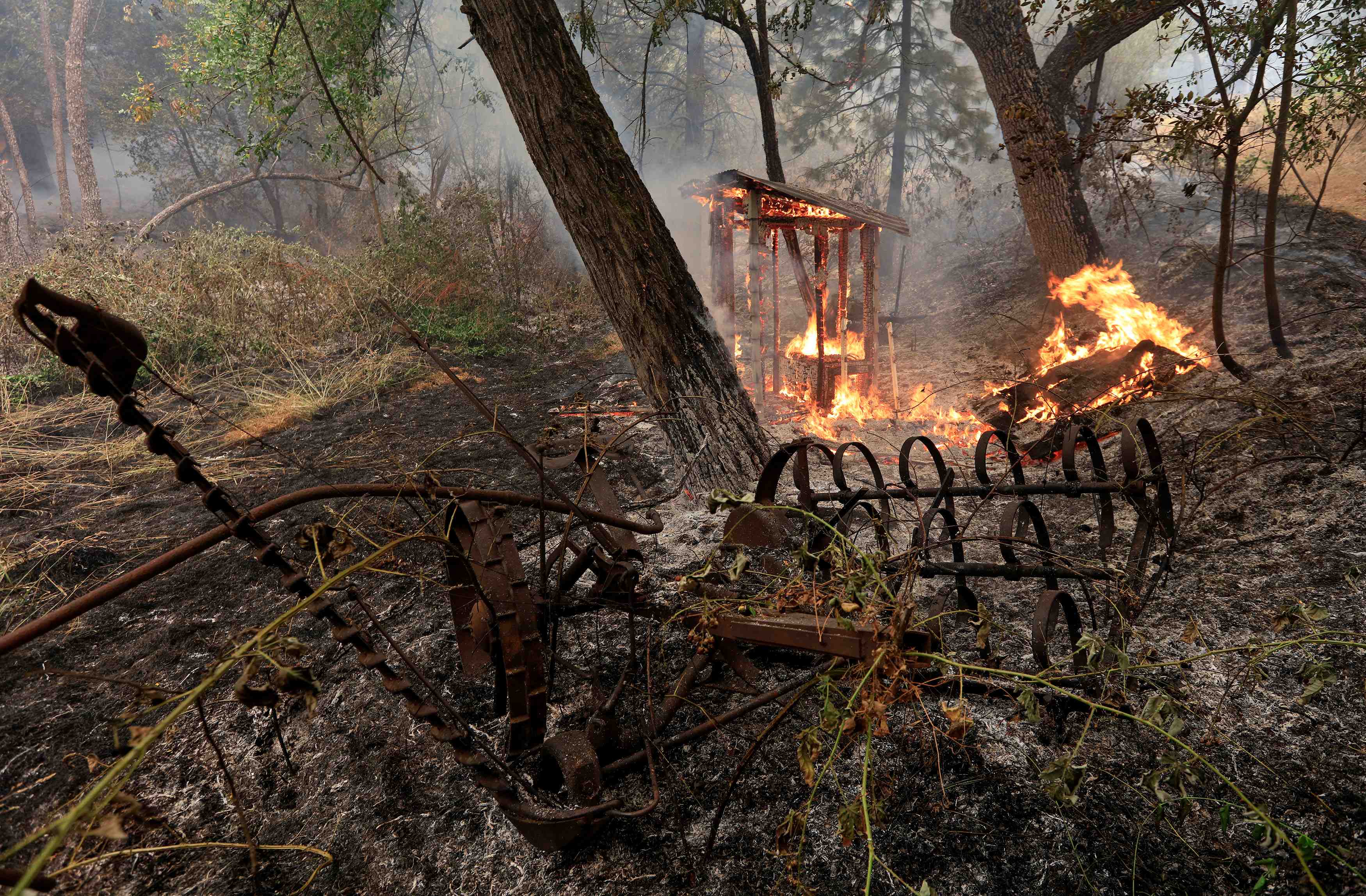 Un septieme mort dans l'incendie "carr fire" en californie
