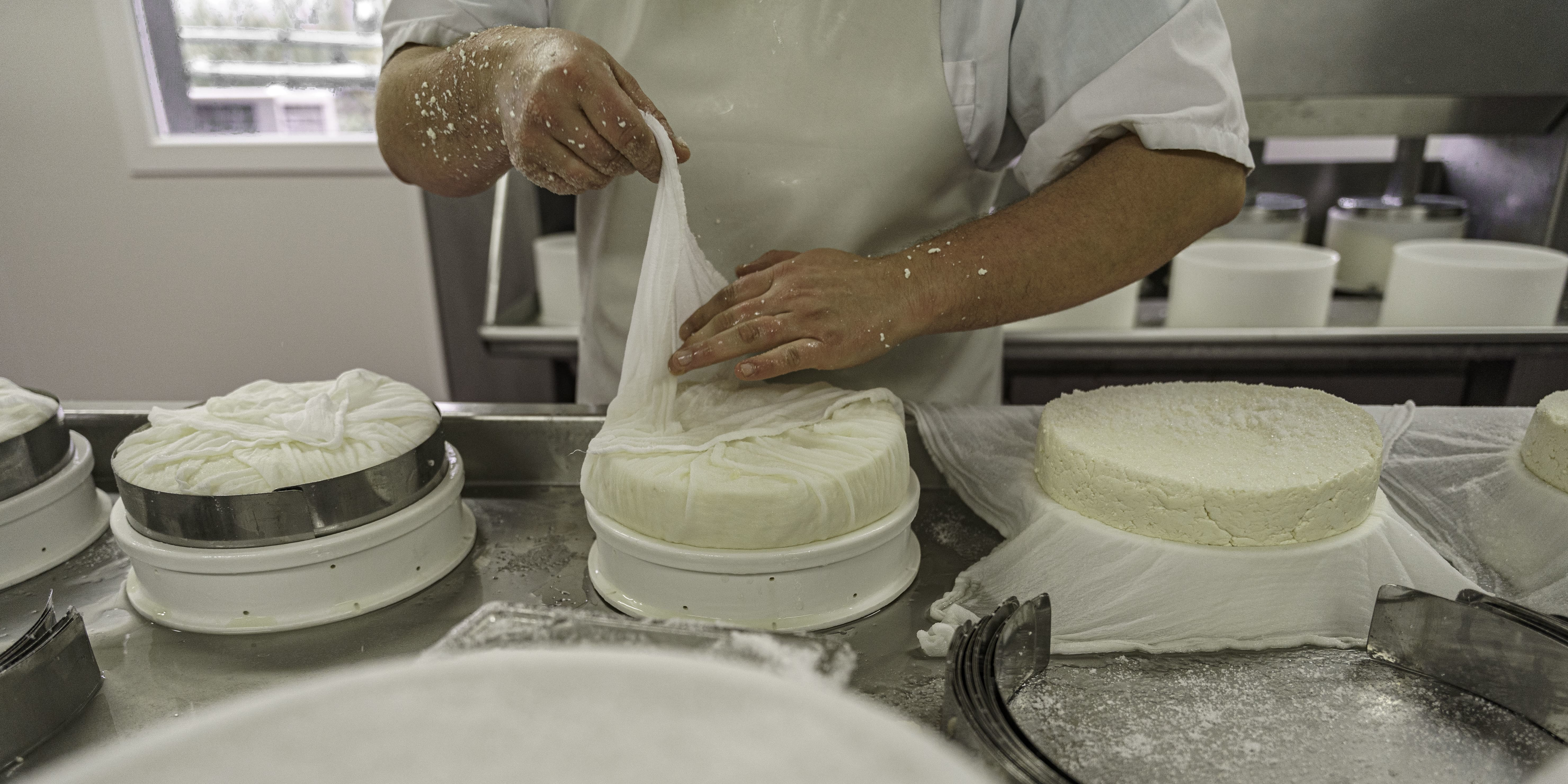 La production de Saint-Nectaire en Auvergne