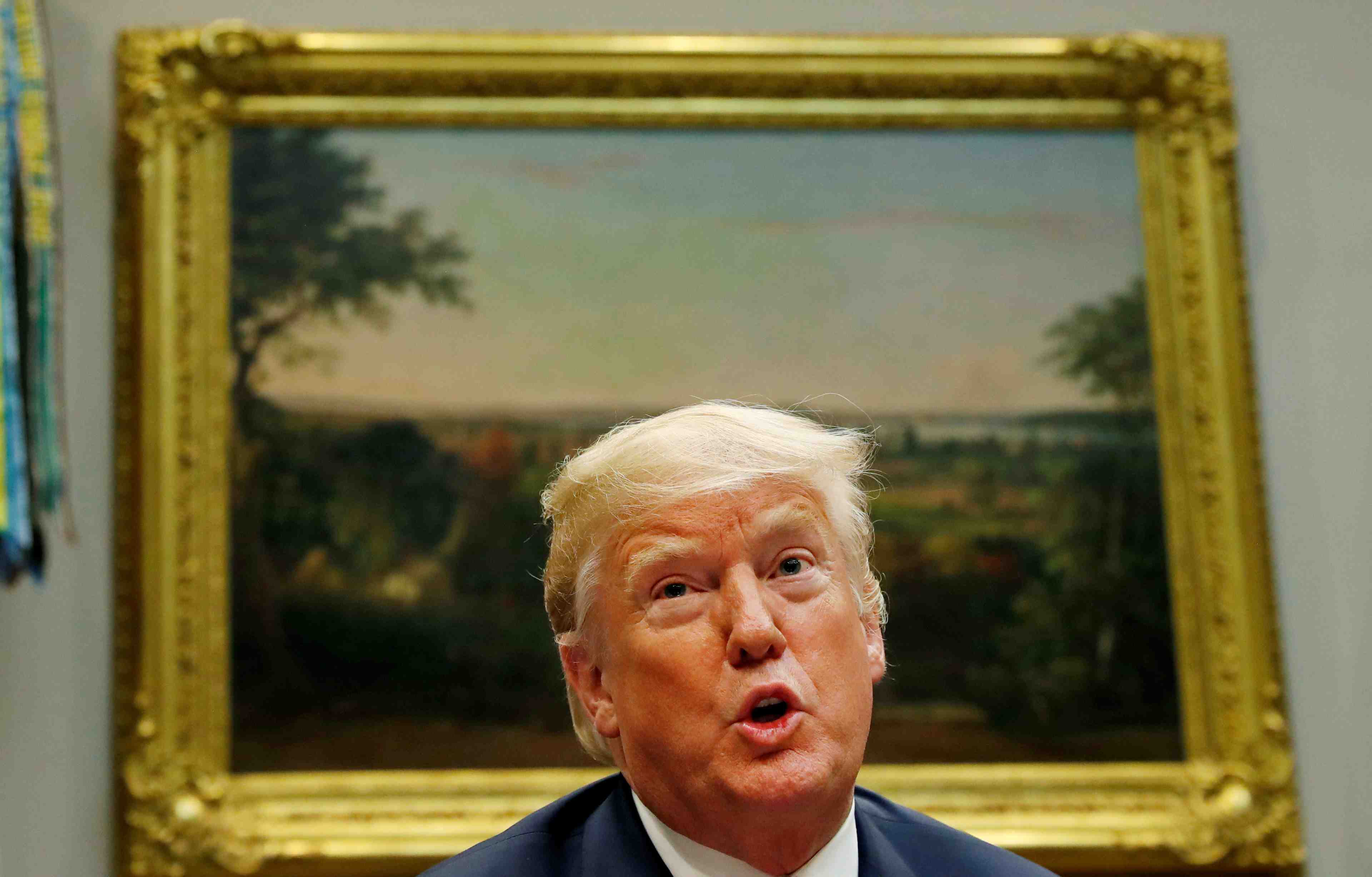 Trump exonere plusieurs pays de quotas d'importation sur l'acier