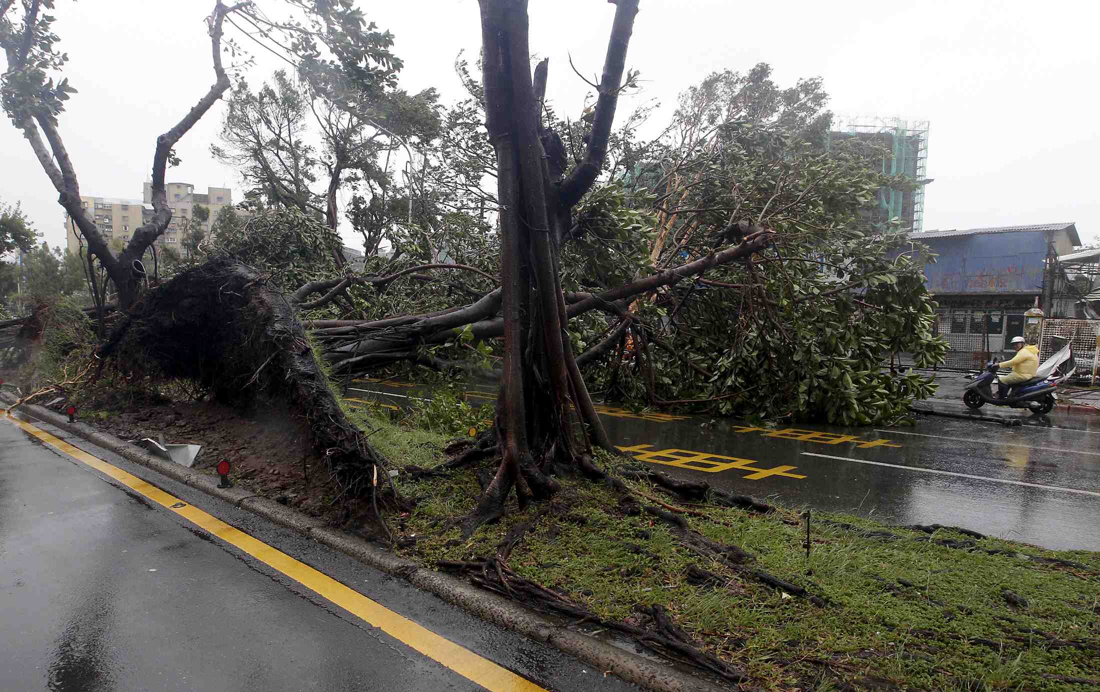 Un puissant typhon balaie taiwan