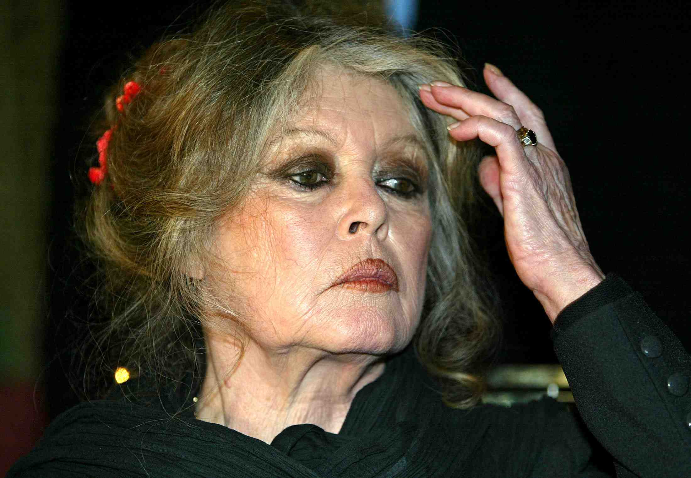 Le prefet de la reunion porte plainte contre brigitte bardot
