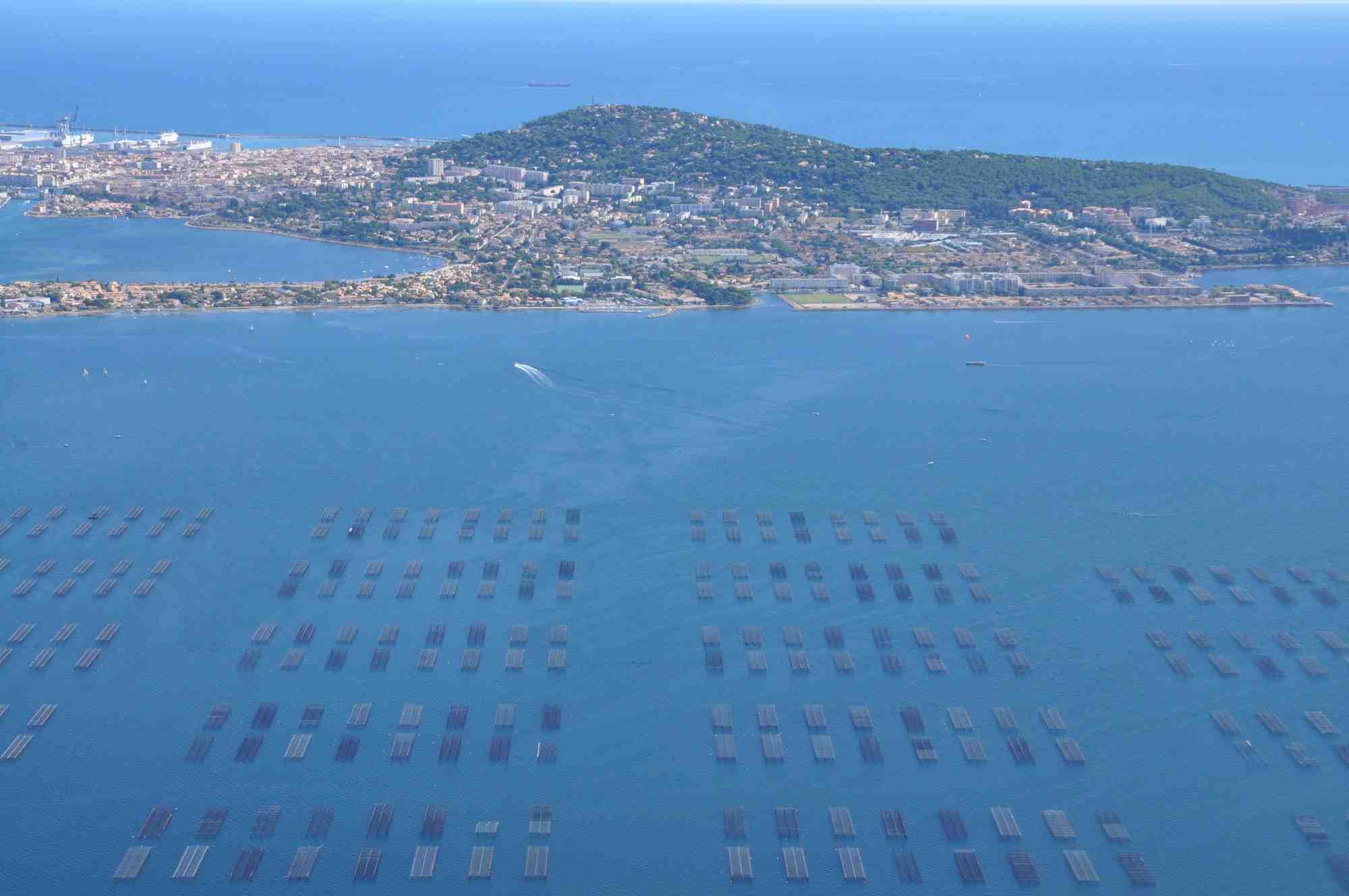 Sete Agglopole