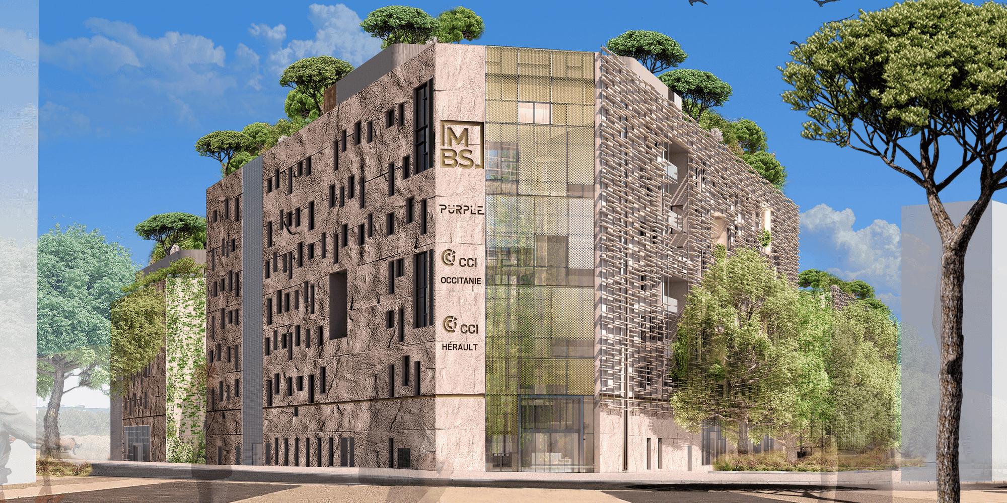 Le Campus Cambacérès hébergera à Montpellier, sur 8.000 m2, Montpellier Business School, la CCI Hérault, l'antenne régionale de la CCI Occitanie, ainsi que le centre de formation Purple Montpellier et son siège régional.
