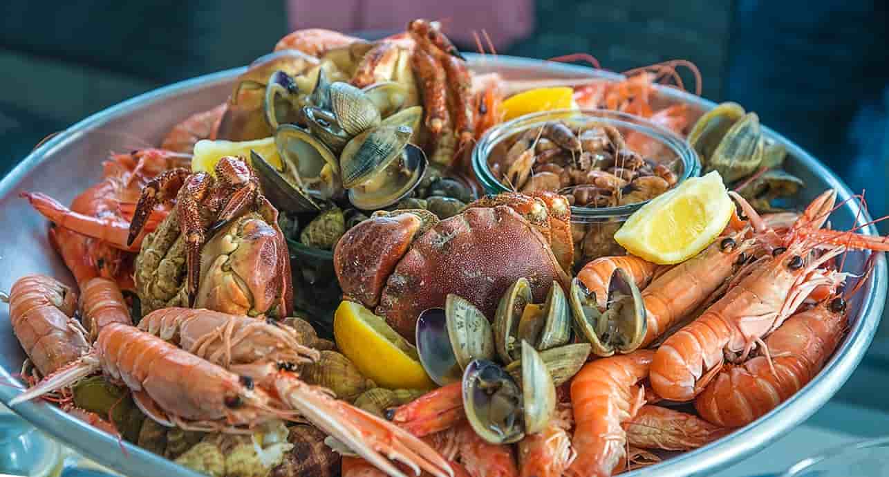 Découvrez les meilleurs plateaux de fruits de mer à travers la France.