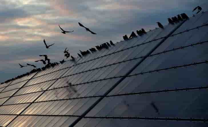 Edf veut batir 30 gw de capacites solaires en france en 15 ans