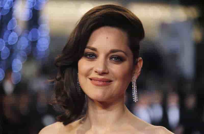 Marion cotillard nie tout role dans le divorce pitt-jolie