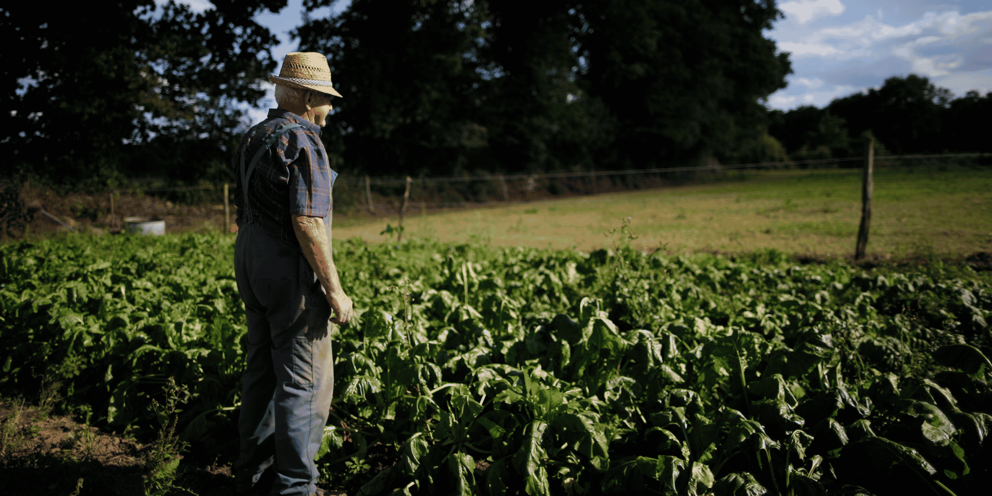 L'une des revendications premières de la Confédération paysanne : l’interdiction d'achat des produits agricoles en-dessous de leur prix de revient (coût de production + rémunération).