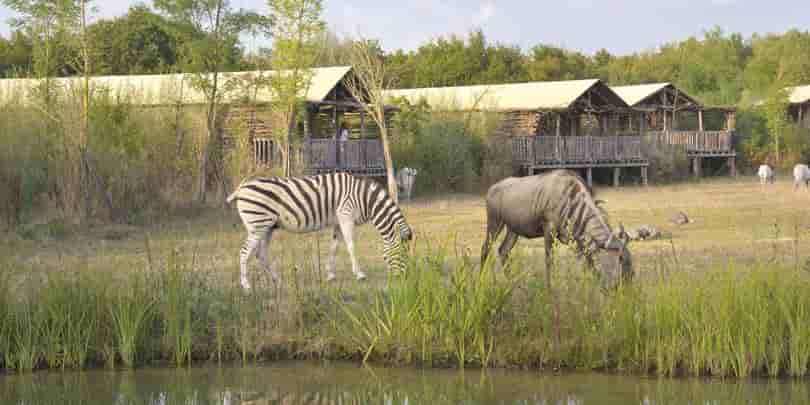 Le Pal parc animalier