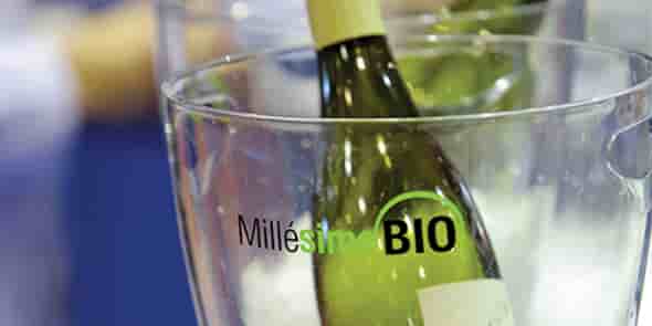 Salon Millesime Bio