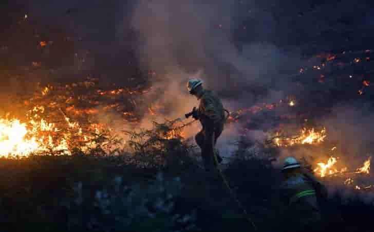 Un francais parmi les 62 victimes du feu de foret au portugal