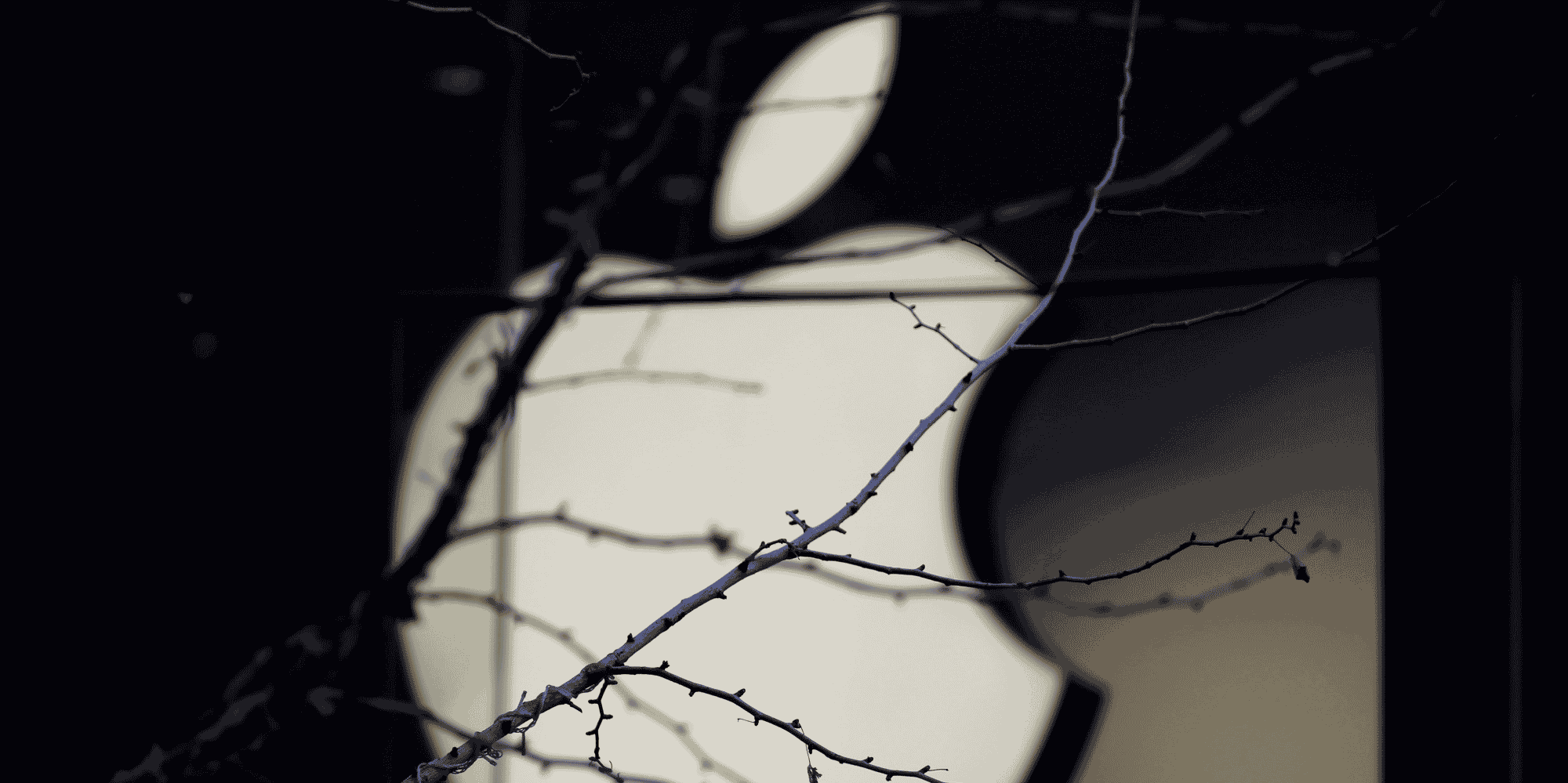 Au regard de l'institution de la rue de l'Echelle, ces pratiques ont eu « un fort impact sur la concurrence dans la distribution des produits Apple », ce qui justifie qu’elle inflige « la plus lourde sanction prononcée à l’encontre d’un acteur économique ».