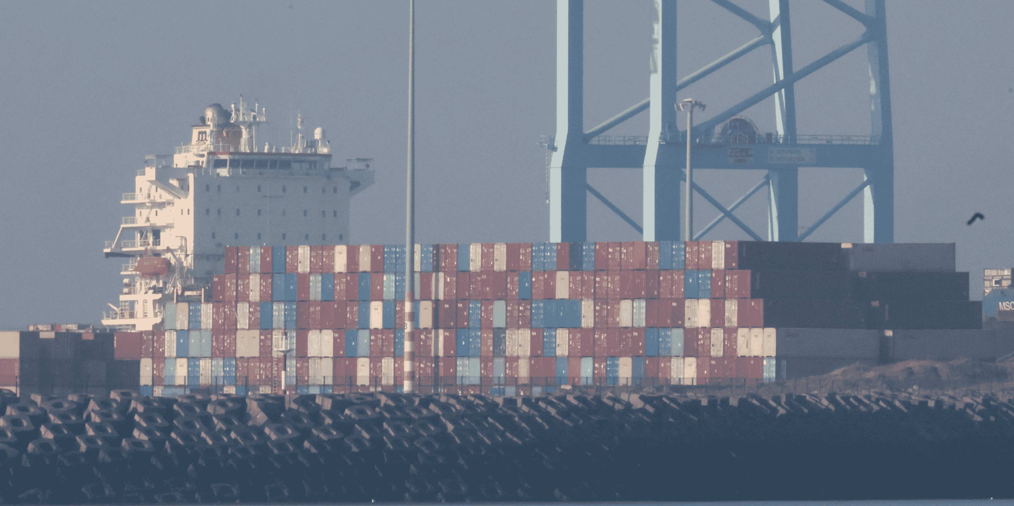 Vue d'un parking de voitures neuves destinees a l'exportation, dans le port belge de zeebrugge