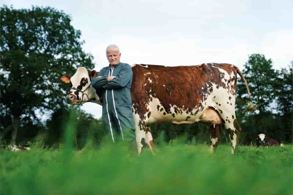 François Foucault, éleveur à Briouze dans l'Orne, pose à côté de la nouvelle égérie 2024 du Salon de l'agriculture.
